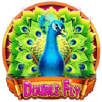 Double Fly